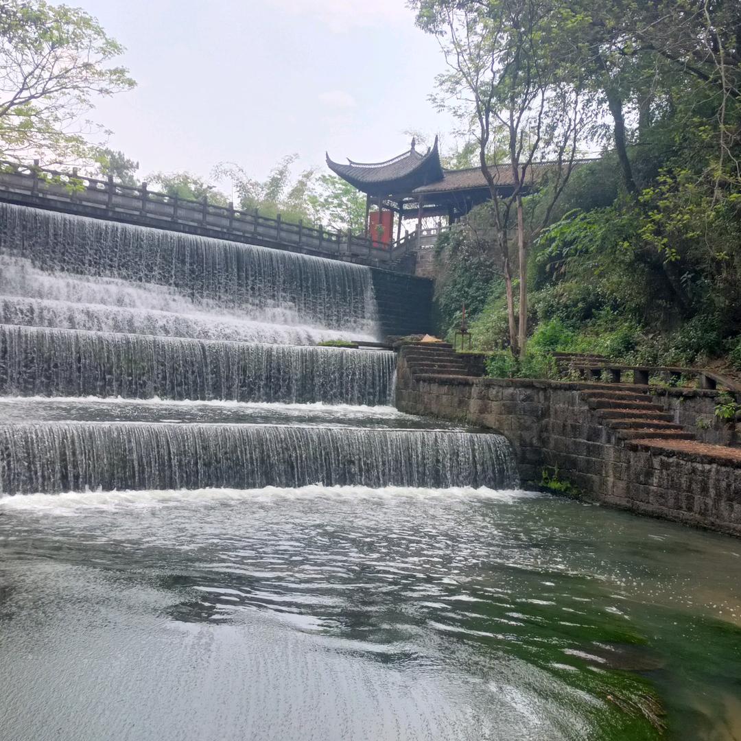 🌾☘️一米阳光🌺💐