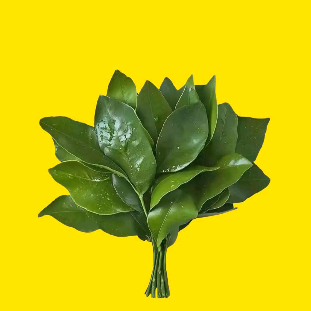 李十二