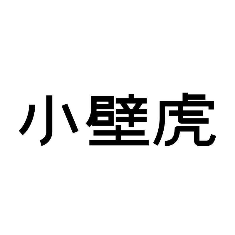 小壁虎电器旗舰店