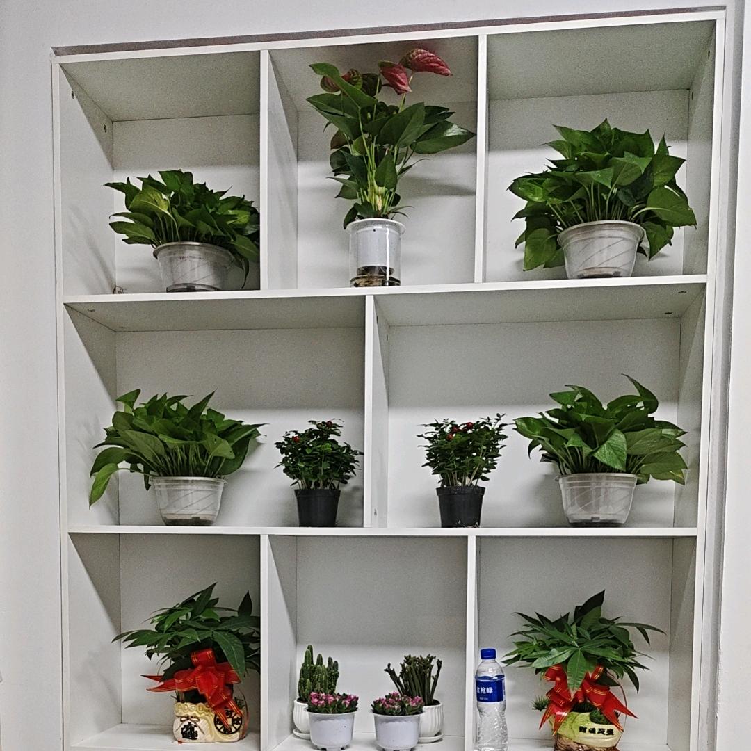 余生安好٩(٩(๛ ˘ ³˘)۶❤