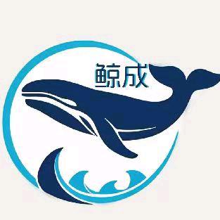 鲸成社保直通车5