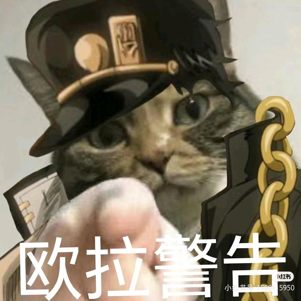 一个平静的上班族-粉色大猫本体