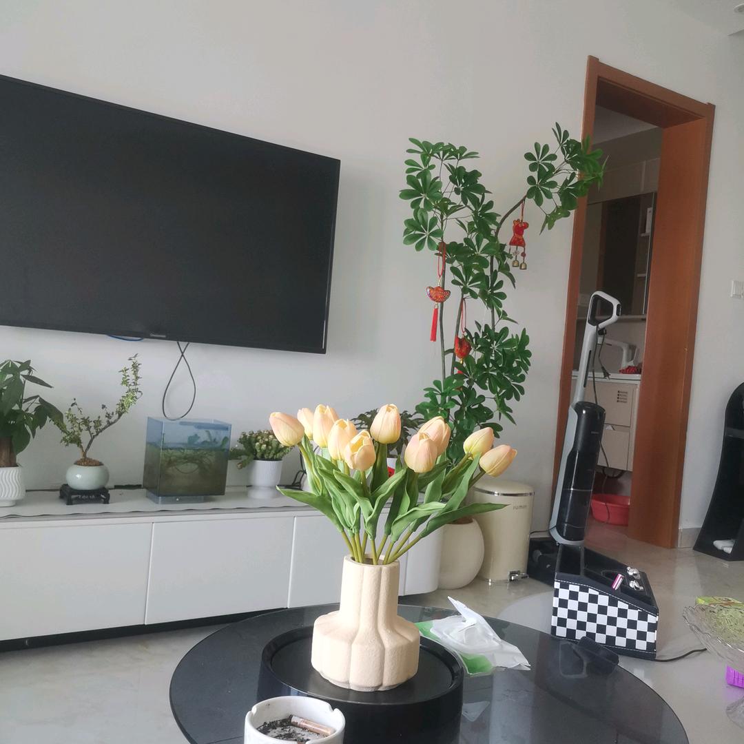 心想柿成