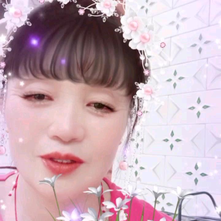 单轨远输车