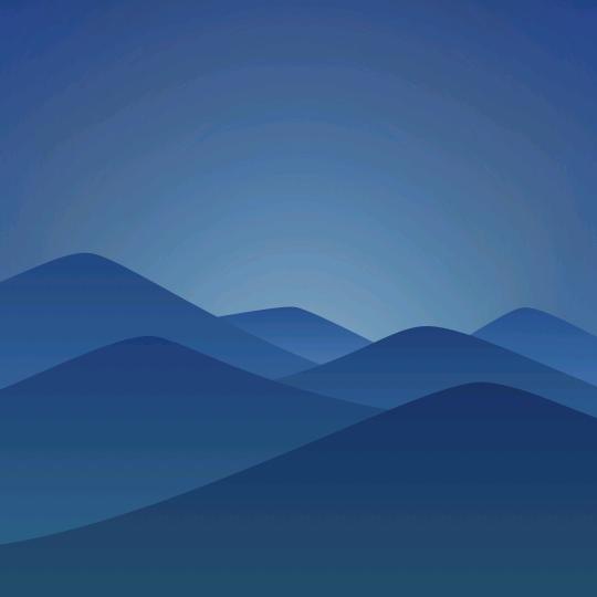 五颗星黑标