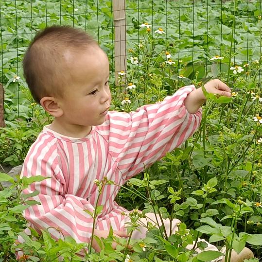 挣抚养资格