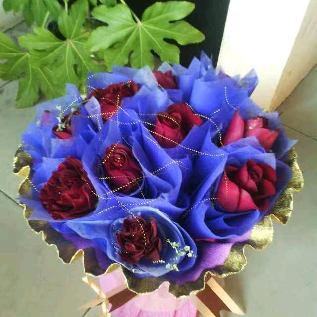 风吹柳叶飘（大妖棈）