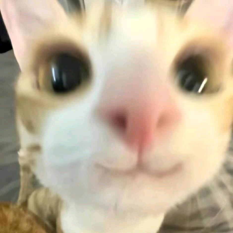 酱酱