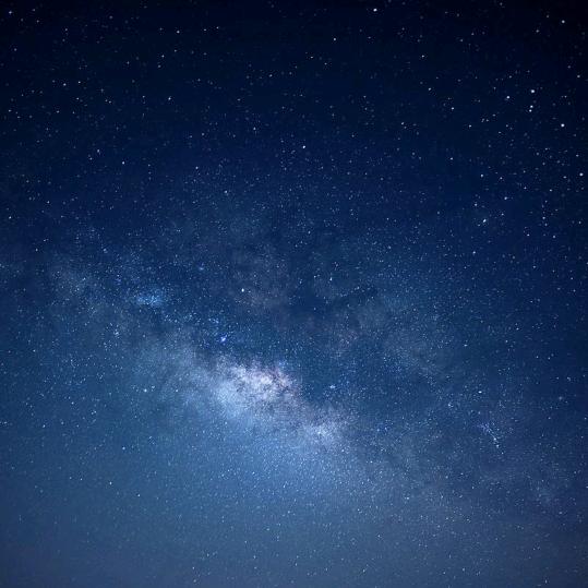 小蚂蚁