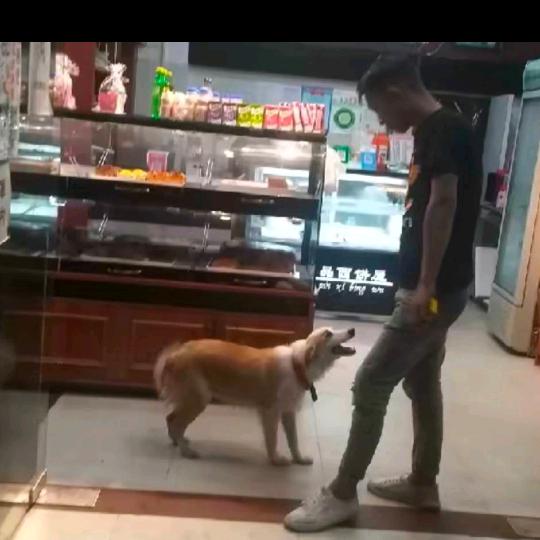 用户97634906
