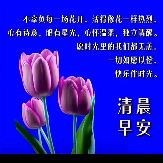 自己相信自己868686