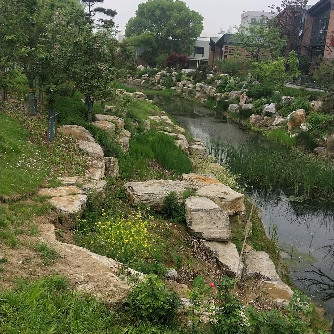 玉帝