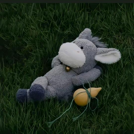 xkhsgxuab