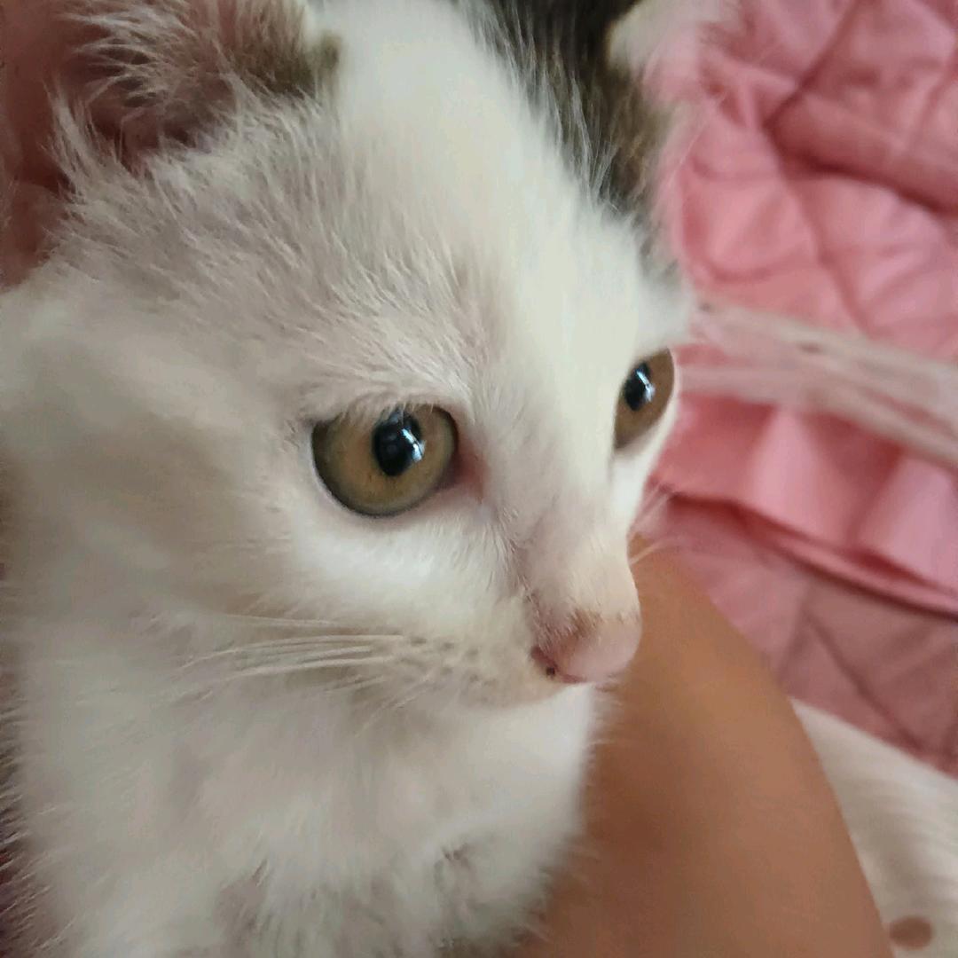 好，知道了，有种不服气，老子等着你啊