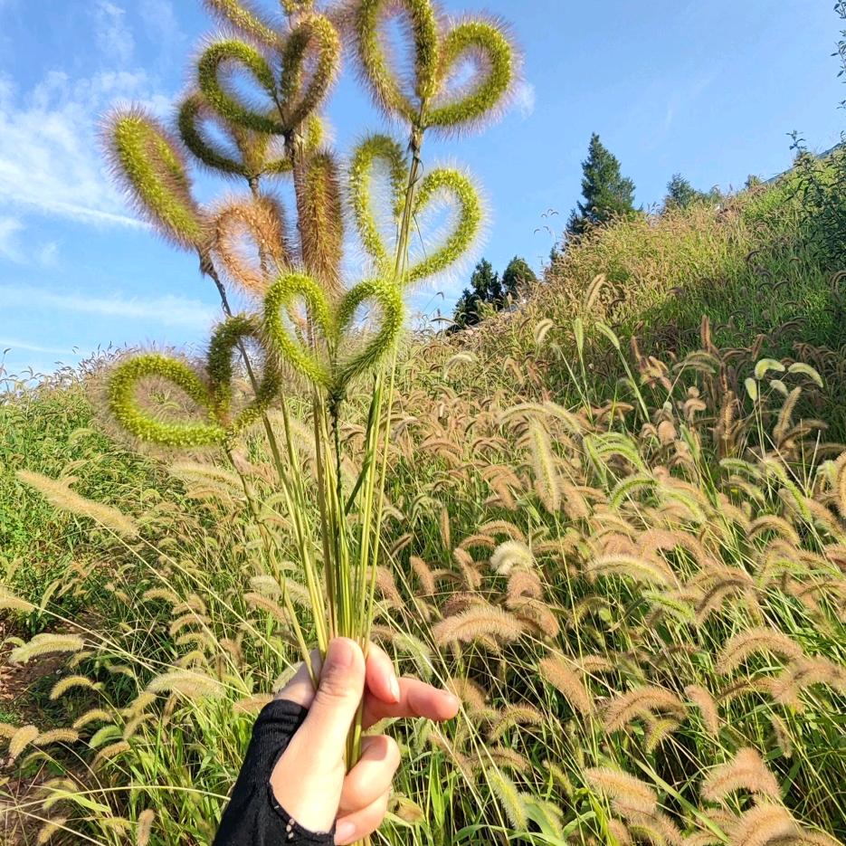 雪儿💞不如以身相许