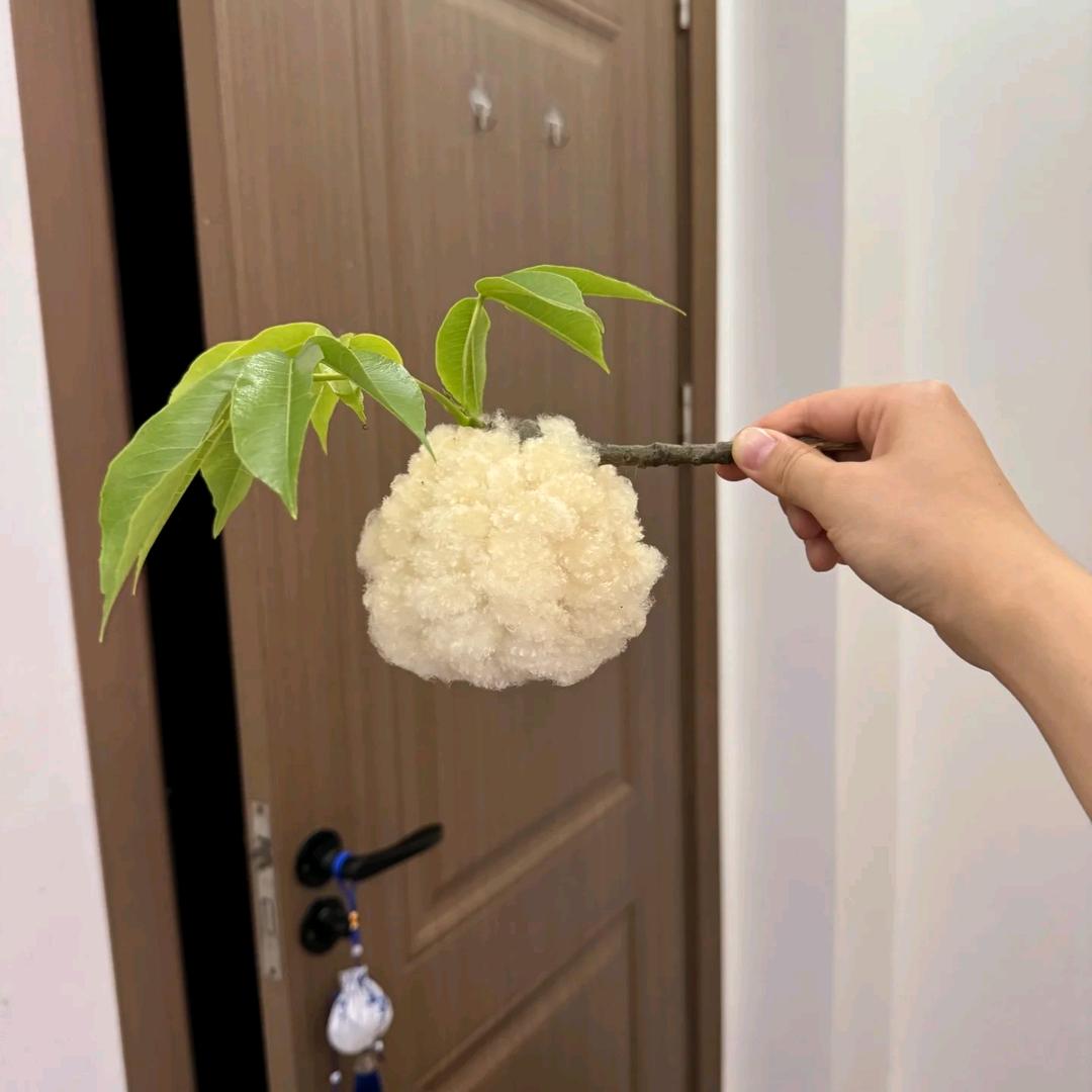中医余博士