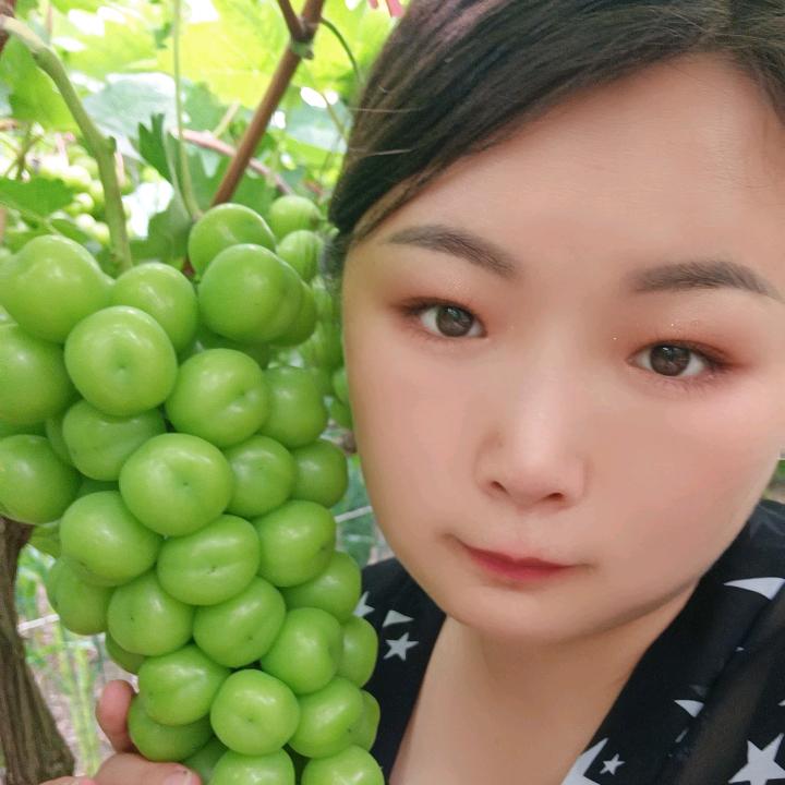 🍊橙子水果