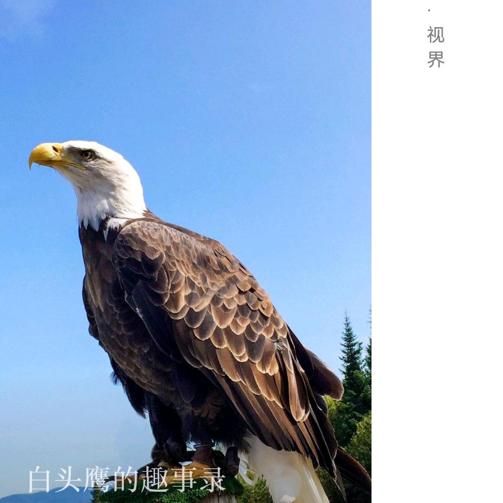 迷茫之人
