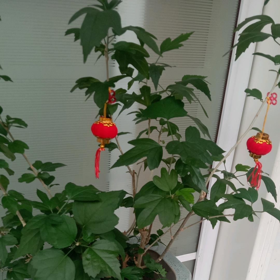 我心永恒