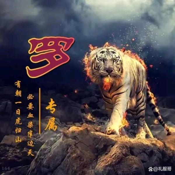 罗斯