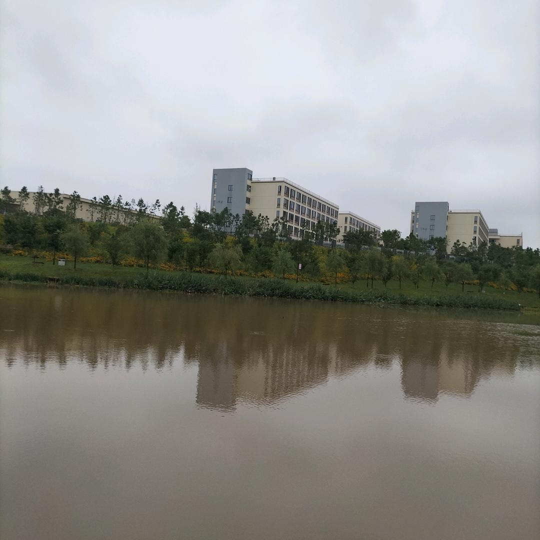 流浪乞丐。