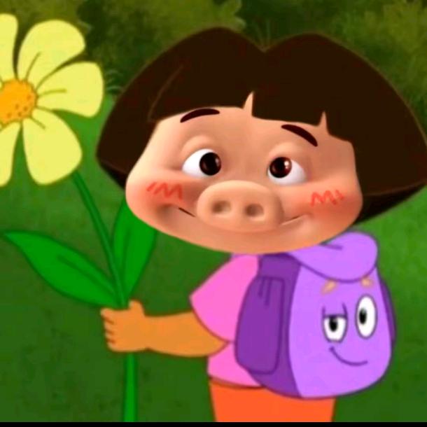 躲在春天里的🌸