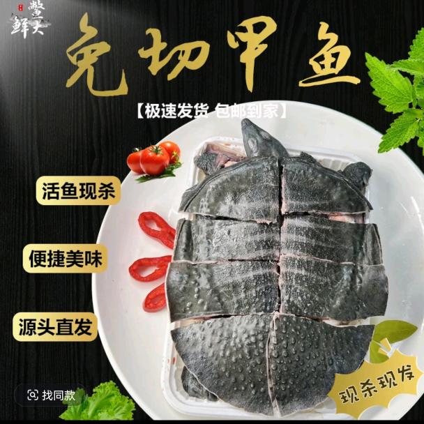 江湖甲甲鱼块