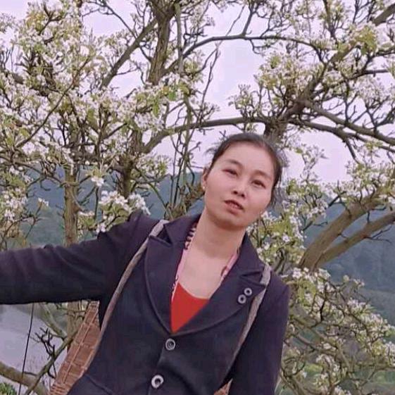 秦老板