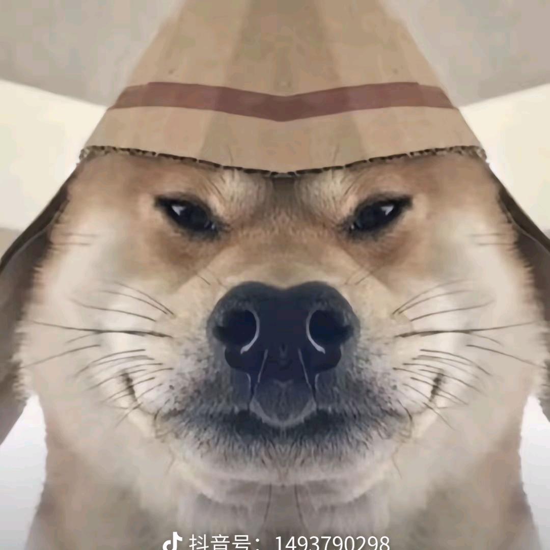 渡渡鸟
