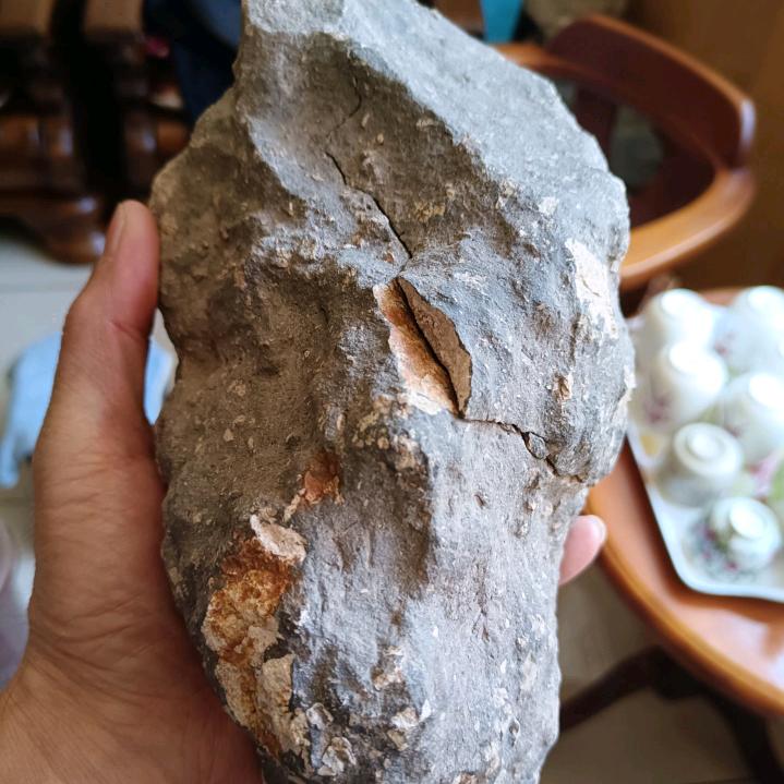李朋飞