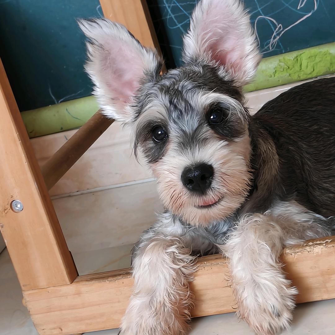 爱宠之家宠物生活馆