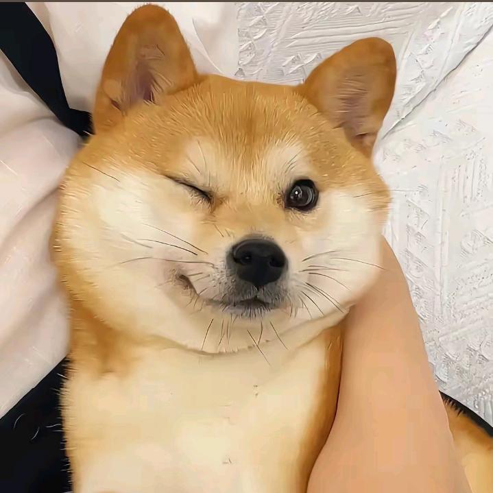 阿新y