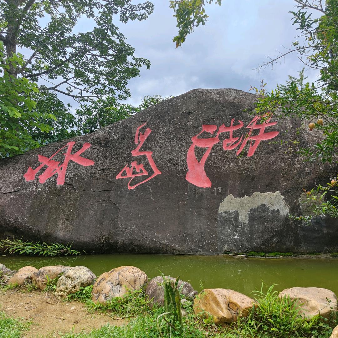 杜良辰
