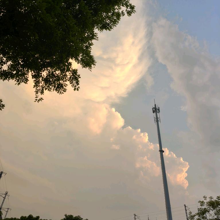 飞🐉在天♥