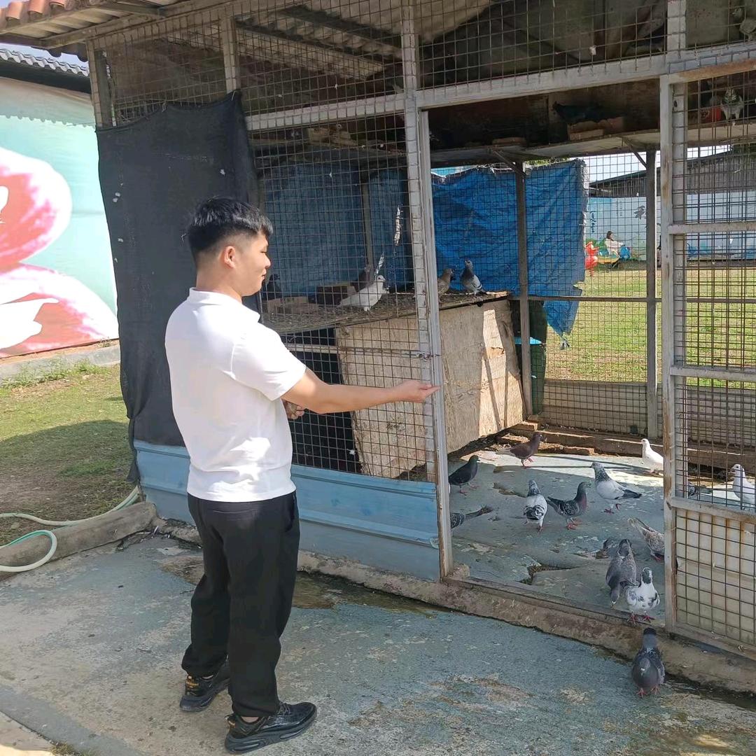 @ღ᭄ꫛ惜你꧔ꦿ相逢᭄ꦿꦿ࿐ᩚ