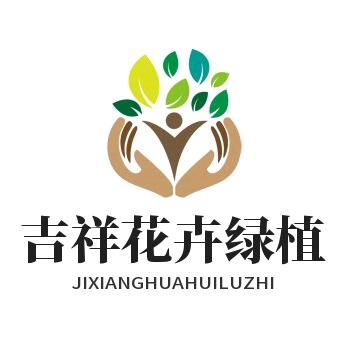吉祥花卉绿植