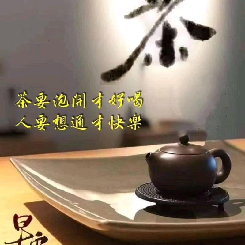 相逢何必曾相识