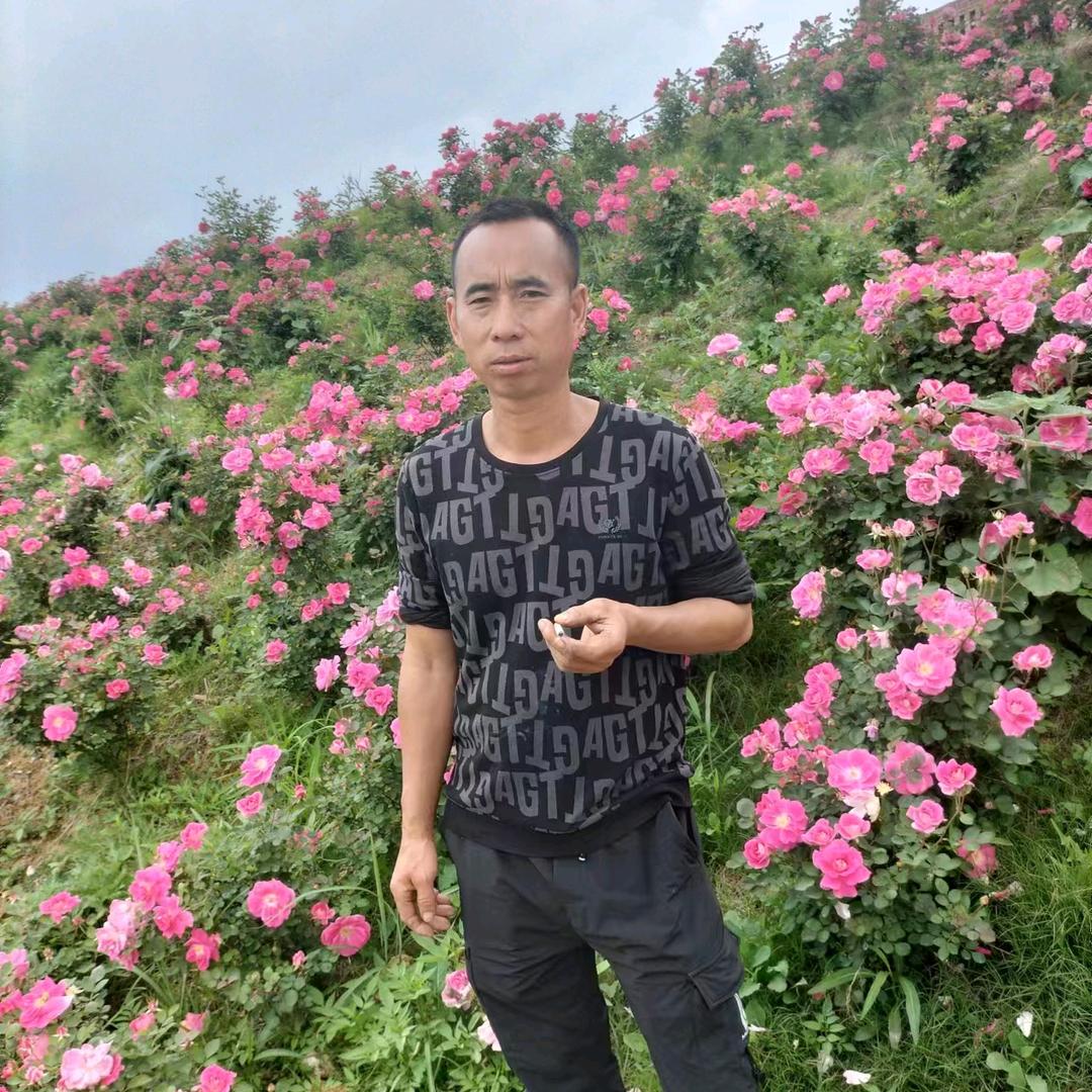 酒那么浓，心那么空。