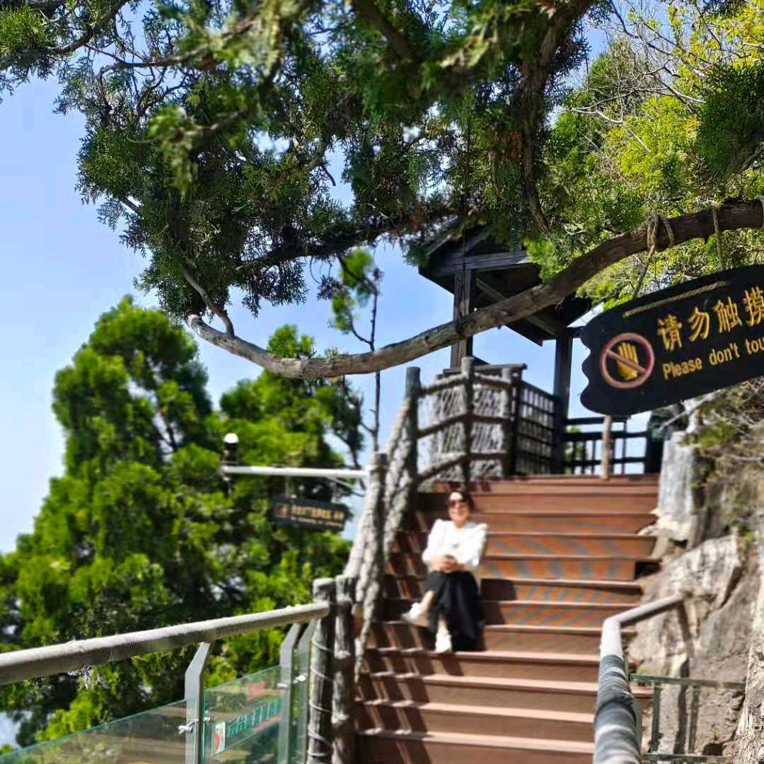 清风蝶影