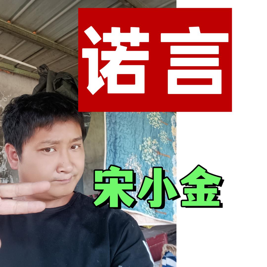 宋小金（关注必回关）