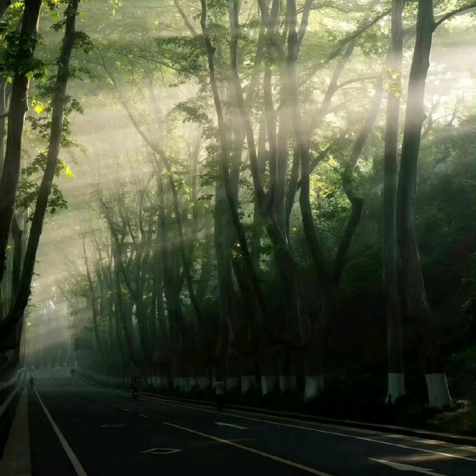 阿纪