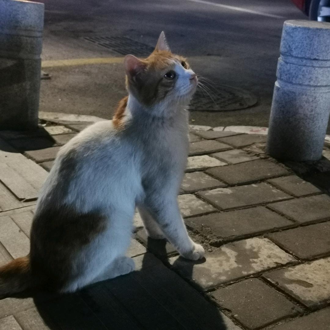 为了梦想而奋斗