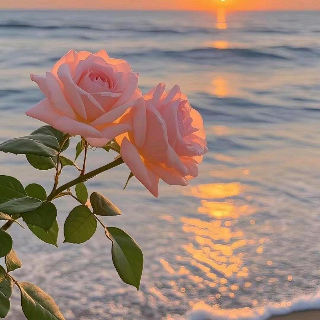 重庆珠浩轴甄选好货店