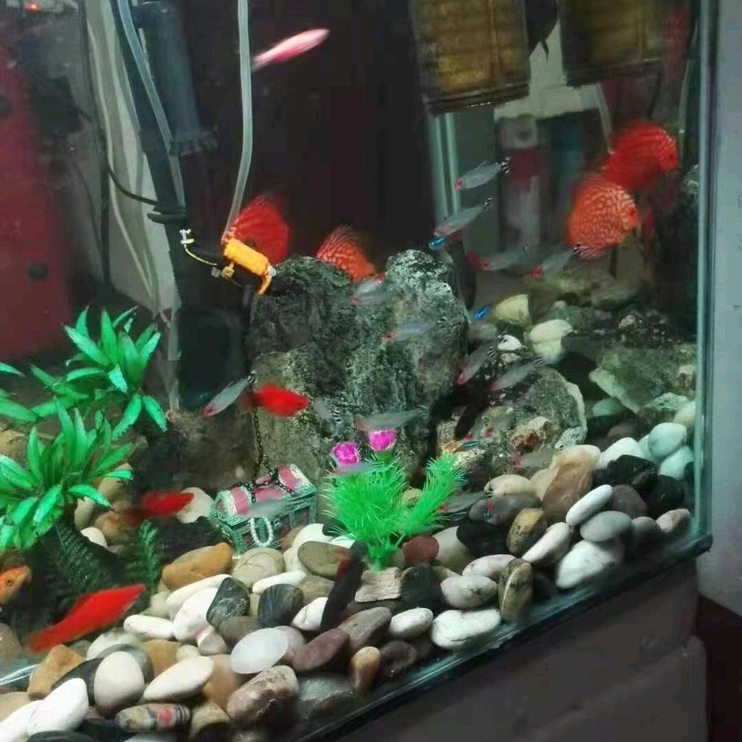 贼不走空～出发