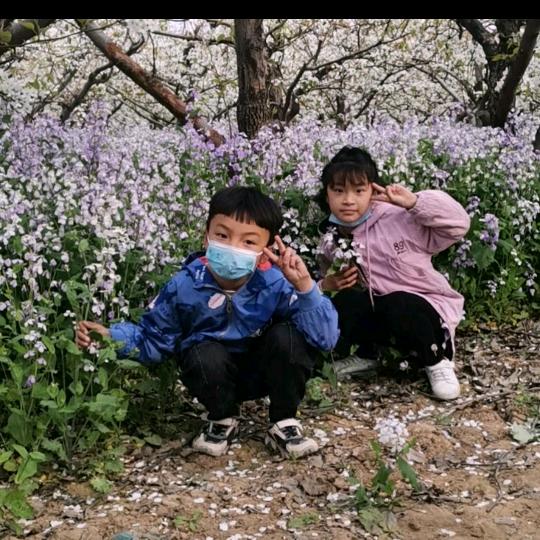 沈阳建升，矿山输送带售后服务，热硫化