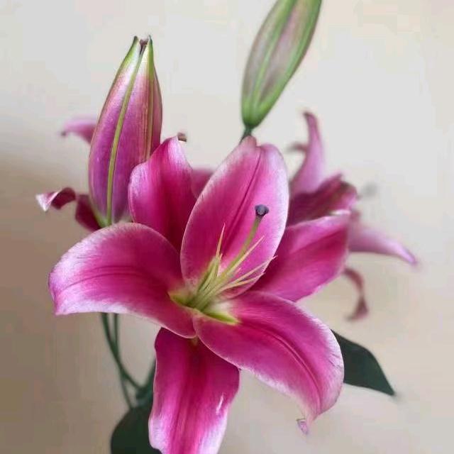🍂时光💞💞