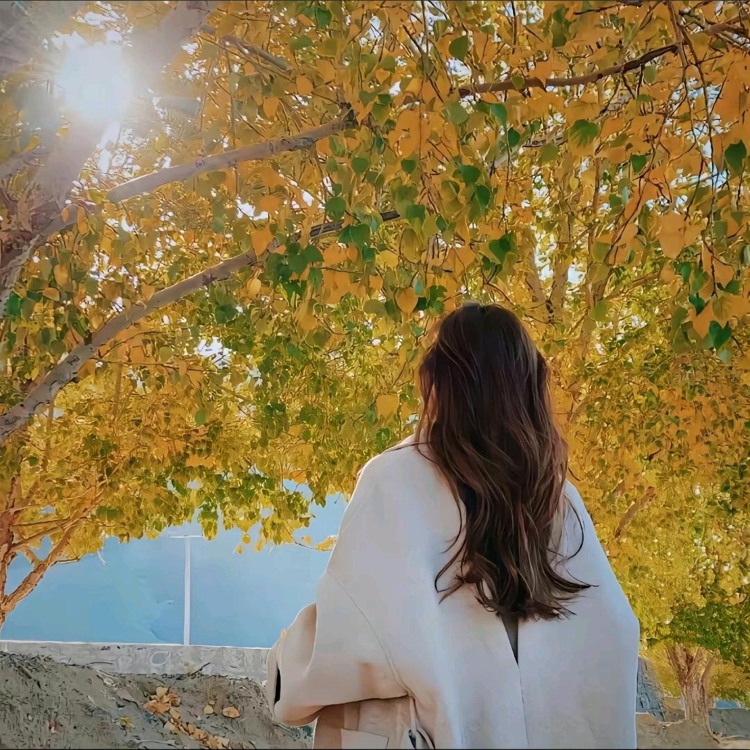 兮颜°