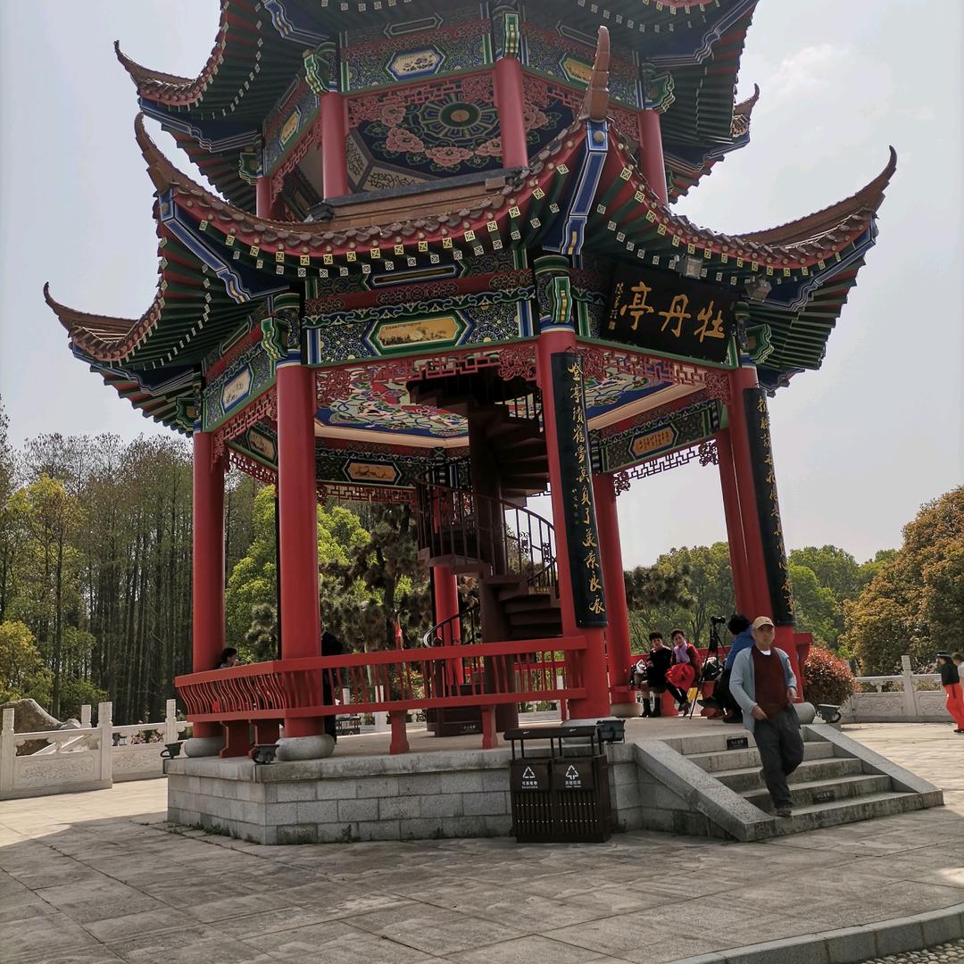夕阳无限好wang