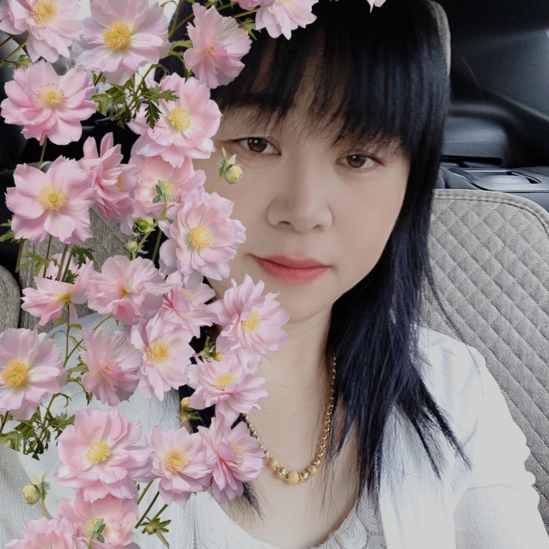 七仙女