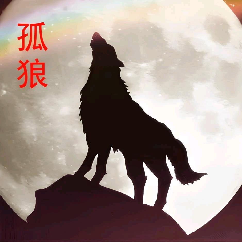 静默孤狼